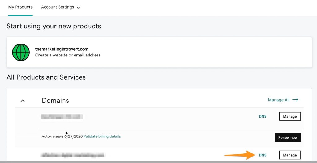 GoDaddy Account List of Domains